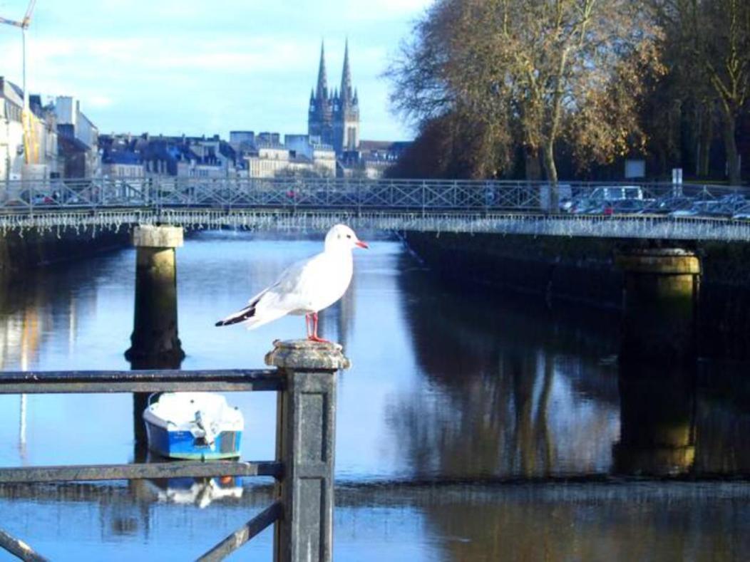 Sweet home en plein coeur de Quimper Extérieur photo